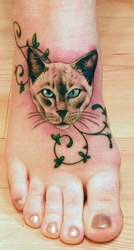 Cat on Foot Body Art